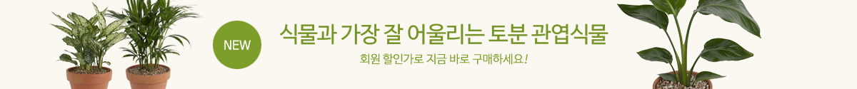 토기화분