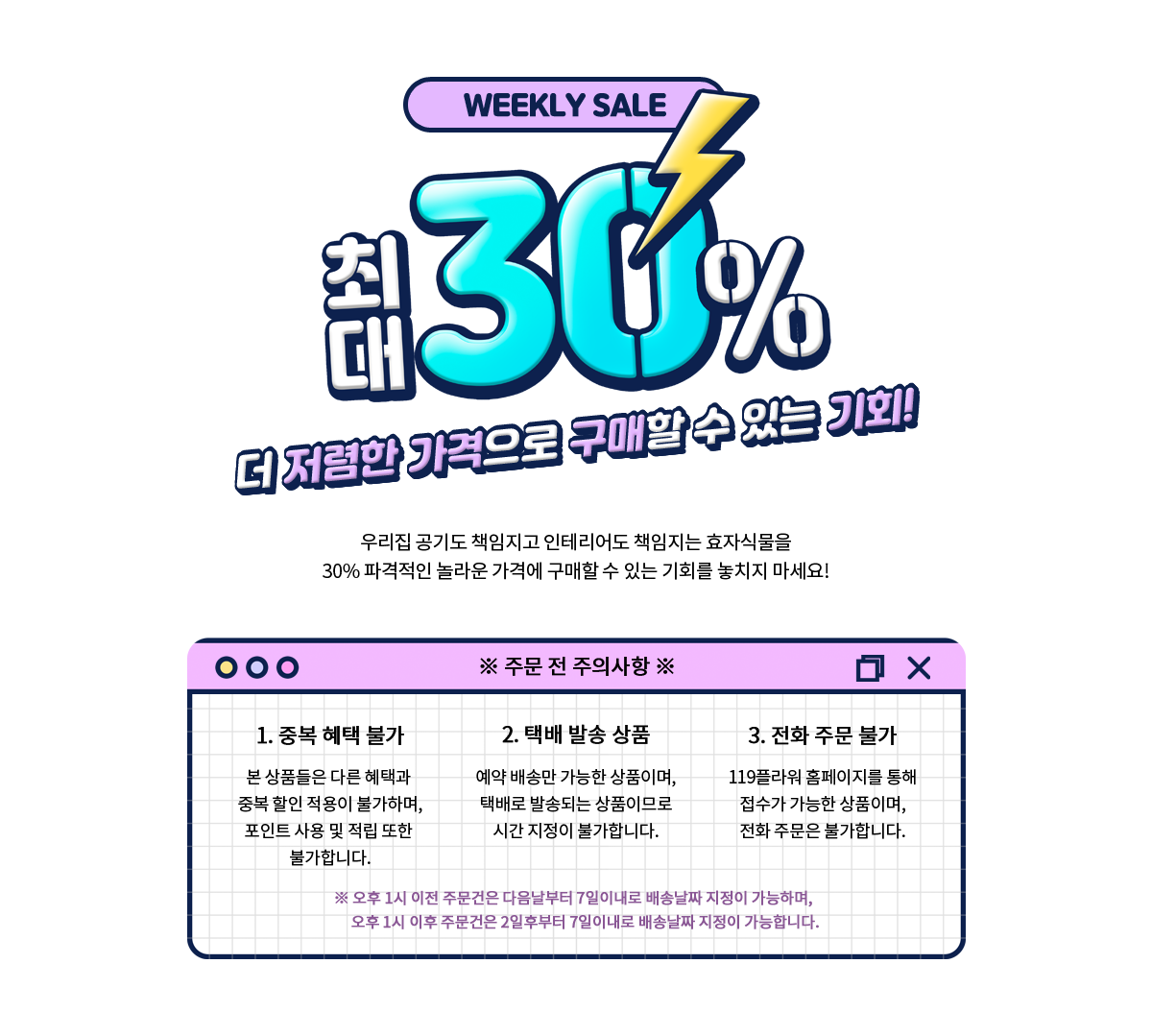 타임세일