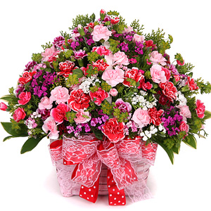 사랑 하세요**^^**