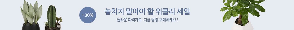놓치지 말아야 할 위클리세일