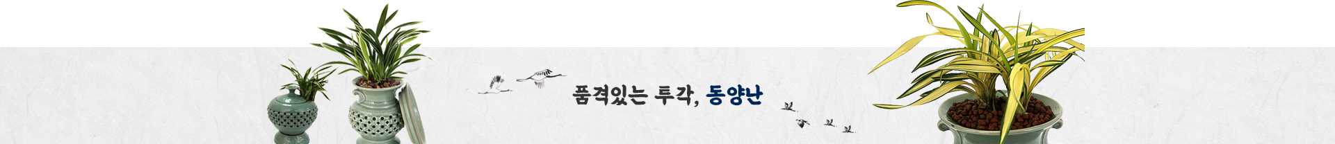 동양난