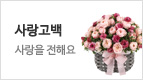 사랑고백