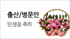 출산/병문안