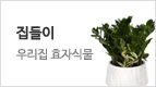 공기정화/집들이