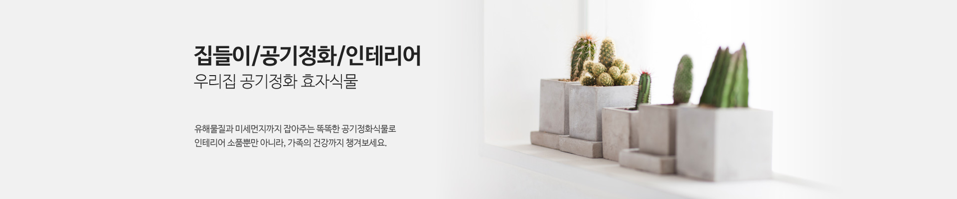 리스트 한눈에 모아보기