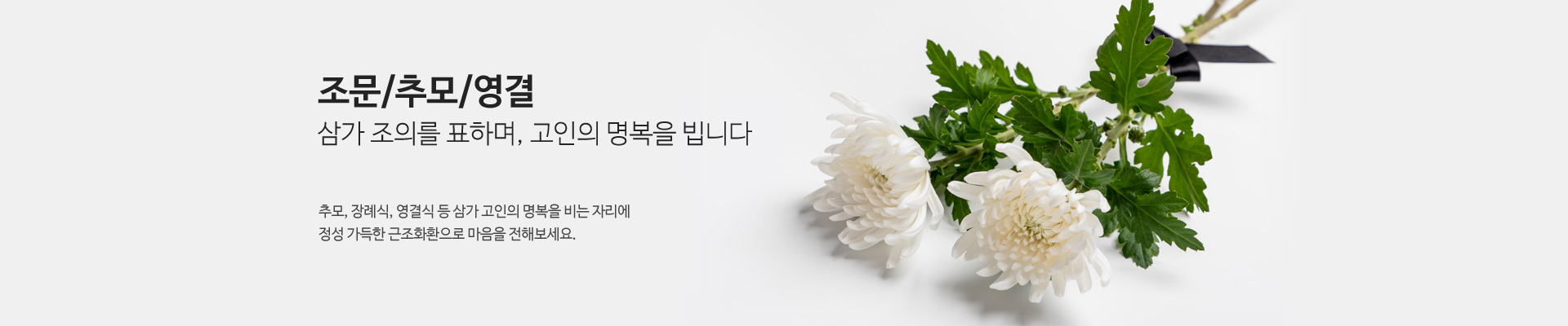 리스트 한눈에 모아보기
