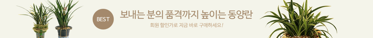 동영란