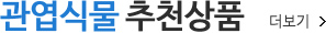관엽식물 추천상품