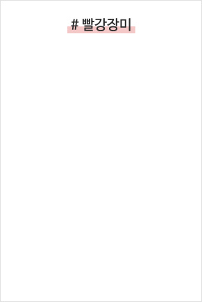 빨간장미