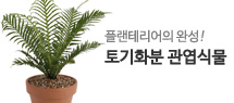 토기화분 관엽식물 미니배너