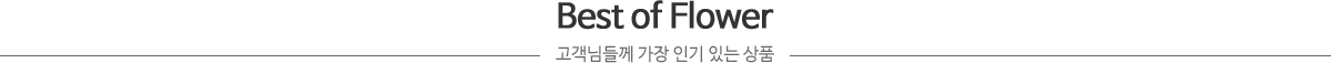 리스트 한눈에 모아보기